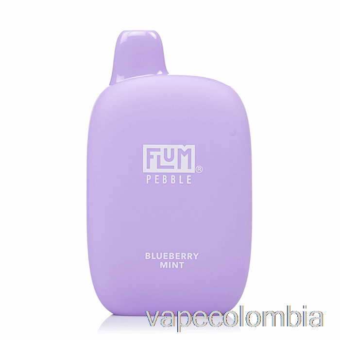 Vape Recargable Flum Pebble 6000 Desechable Blueberry Mint